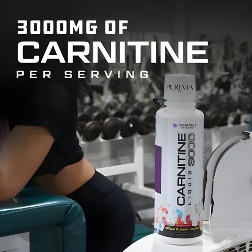 L-Carnitine 3000